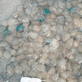 DSC01317