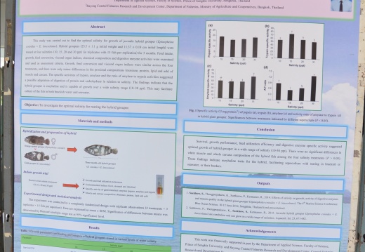 20150526135011-348a5ba4