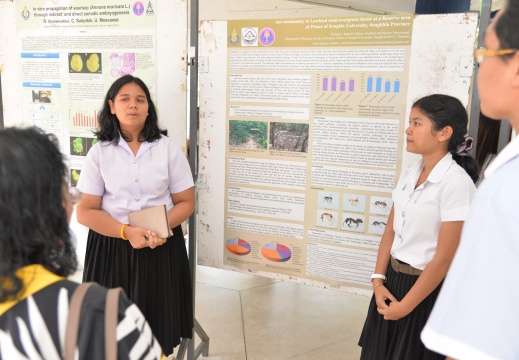 20150526135015-13b3318e