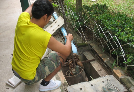 20150925115650-b684baf4