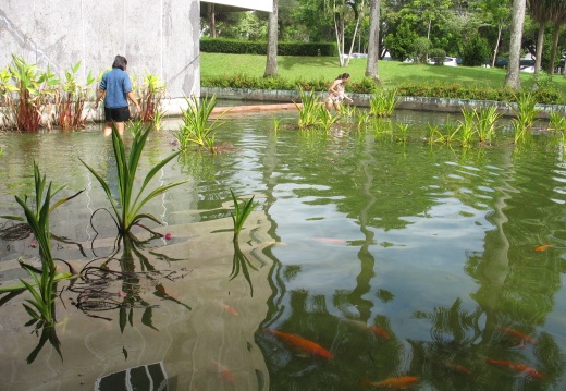 20150925115728-f983932d