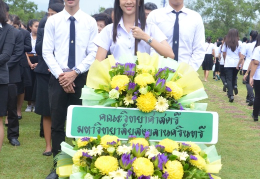 20150925132423-0e3a0dd6