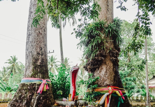 20161226132719-ffa4202d