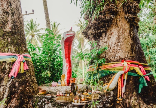 20161226132727-5ea5bf6b