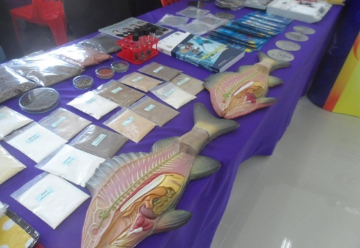 20170112155817-cf547fa2