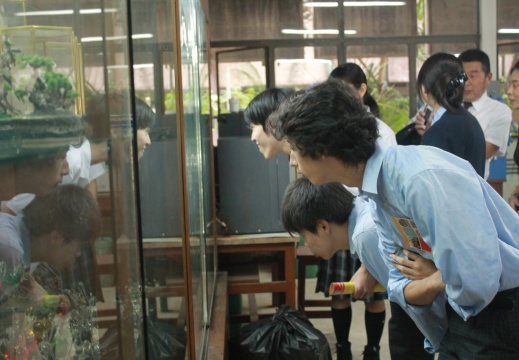 20170116111625-c718d204