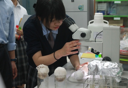 20170116112706-a41dd8ca