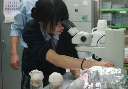 20170116112711-d7dc2fd3