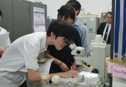 20170116112717-d25129f3