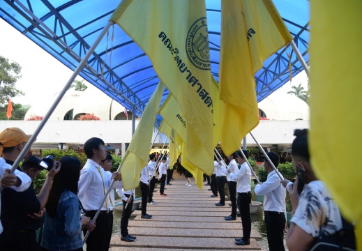 20170929165630-e97feaad