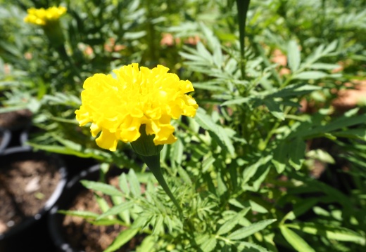 20171010125959-3c22445a