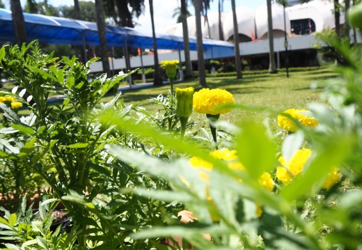 20171010130021-e1de0c88