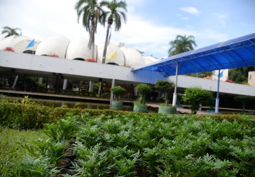 20170928085229-a1478113