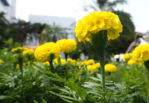 20171010130308-5488e7e6