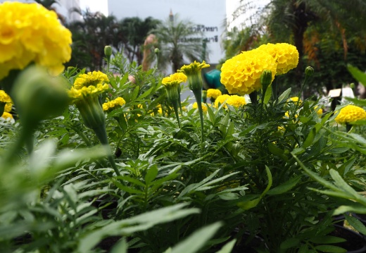 20171010130310-98dbedd3