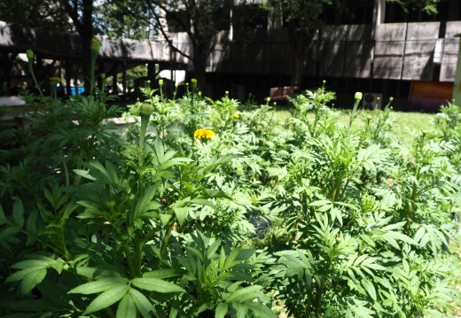 20171010130338-a19d0124