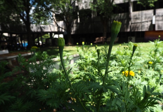 20171010130340-8cabaf00