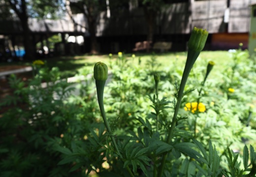 20171010130342-3816fa64