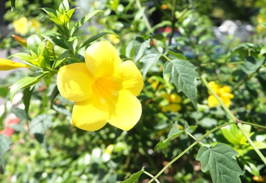 20171010130353-e352c07e