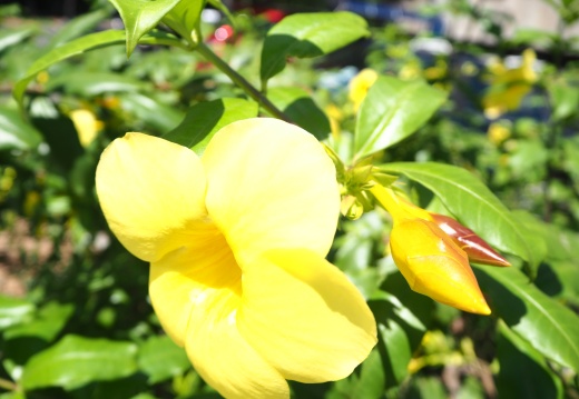 20171010130357-dad14d9c