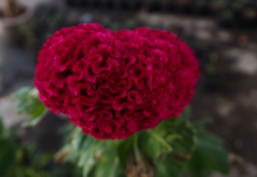 20171010130358-743f4608