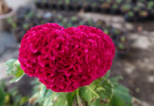 20171010130400-3550308f