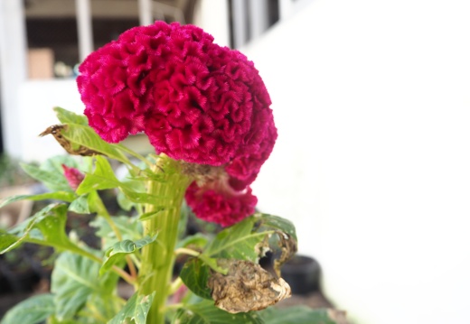 20171010130402-cf3b02a7