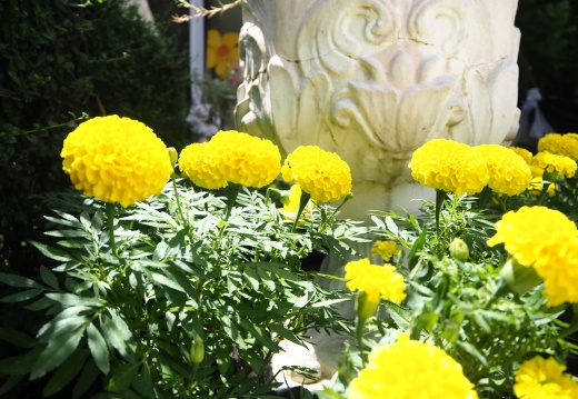 20171010130415-3f6dff8e