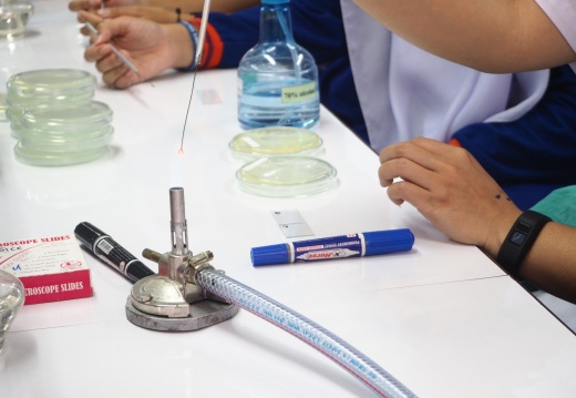 20171103172440-ae3149d8