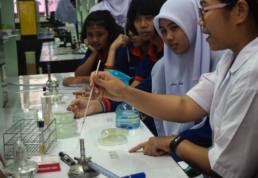 20171103172450-b3ae83c2