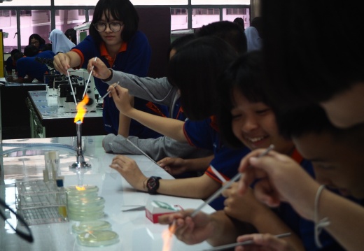 20171103172452-7abed6e5