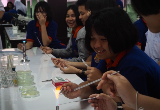 20171103172454-27eaf4e2