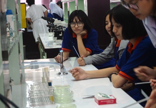 20171103172456-b718430a