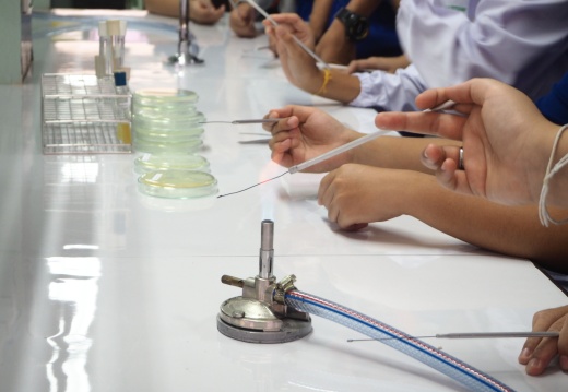 20171103172459-2524f585