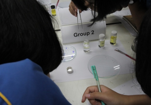 20180108155620-85f779c1