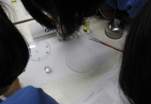 20180108155625-a1812969