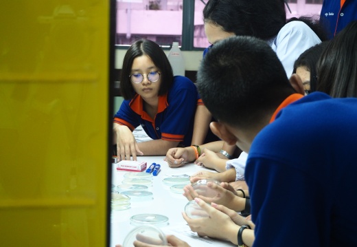 20171103172904-c1763771