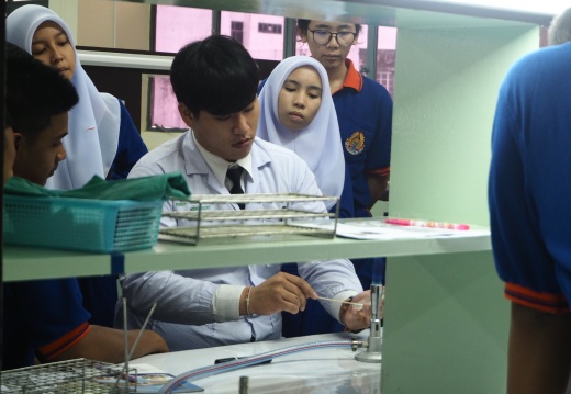 20171103172910-bf81009e