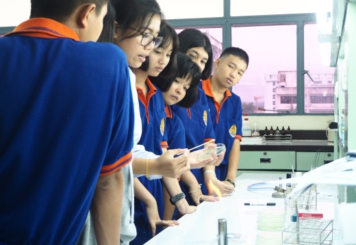 20171103172912-6c4d5489