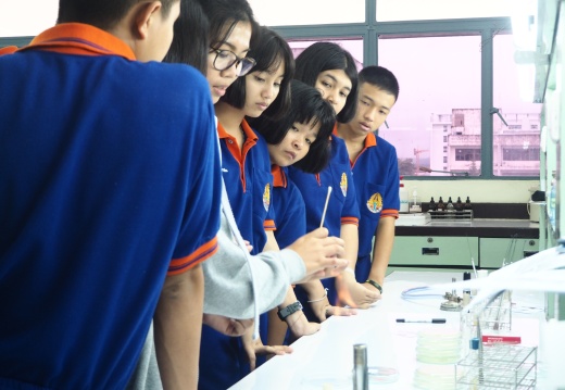 20171103172914-2df671f8