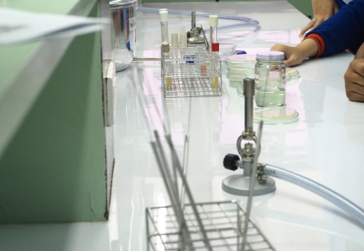 20171103172927-ccbdbd45