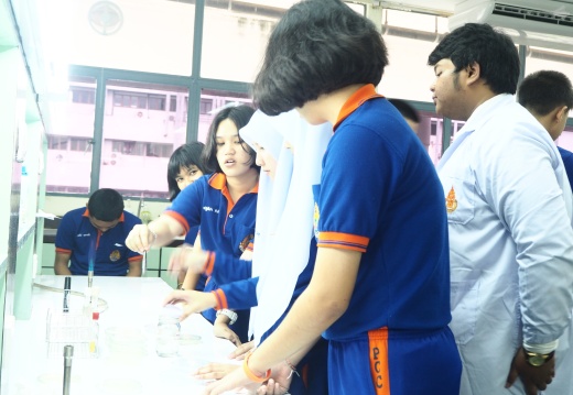 20171103172945-da7d2d47