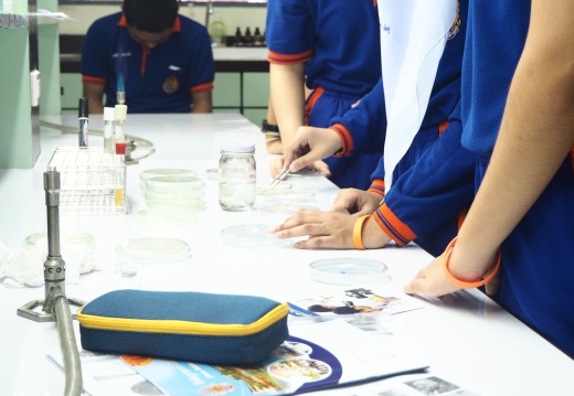 20171103172948-038765bd