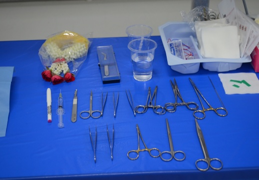 20180302151949-0ac3d29c