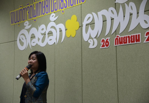 DSC 7917