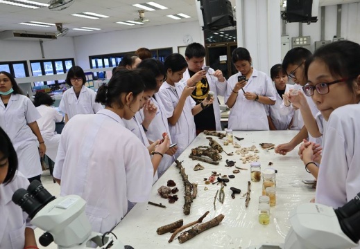 49624211 1245718755578878 1706917018151682048 n