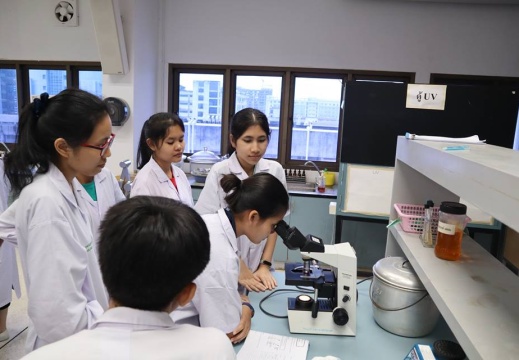 49937967 1245709085579845 8713741684346716160 n