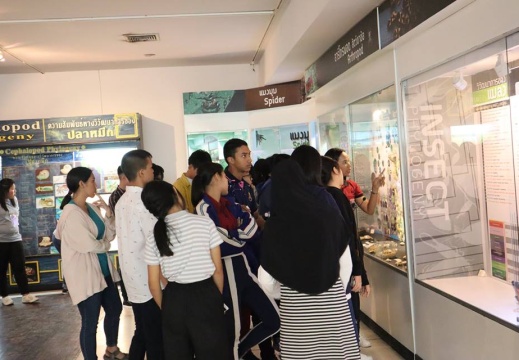 49742788 1242682922549128 884837475715907584 n