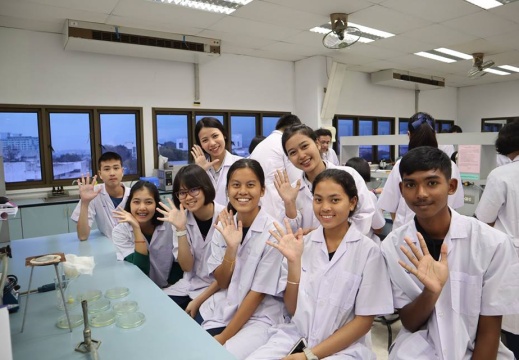 49210907 1242664722550948 1750137746497732608 n