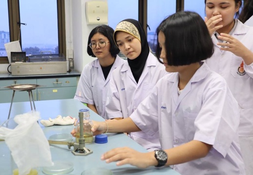 49238916 1242663702551050 4844405621610512384 n